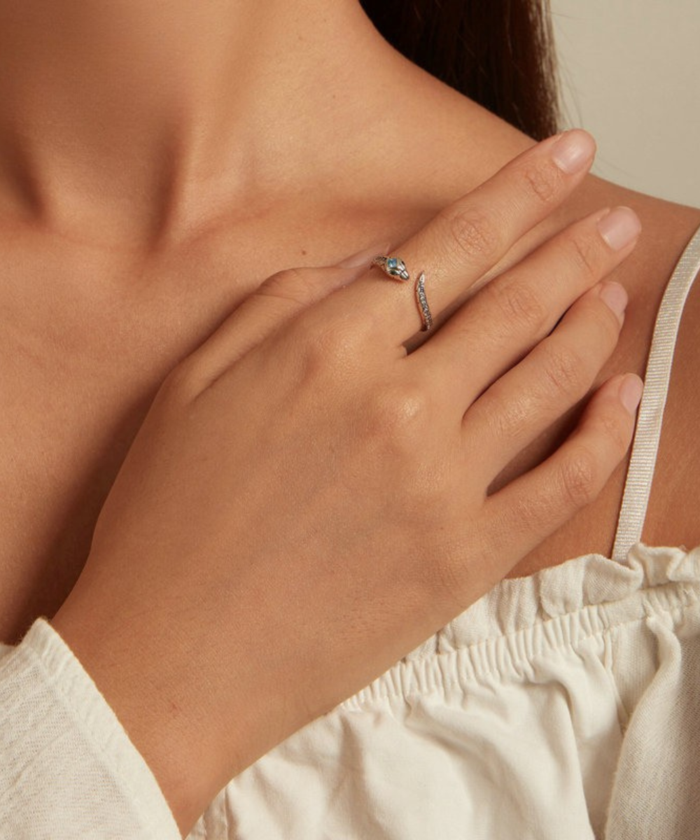 Anel Serpente Prata 925