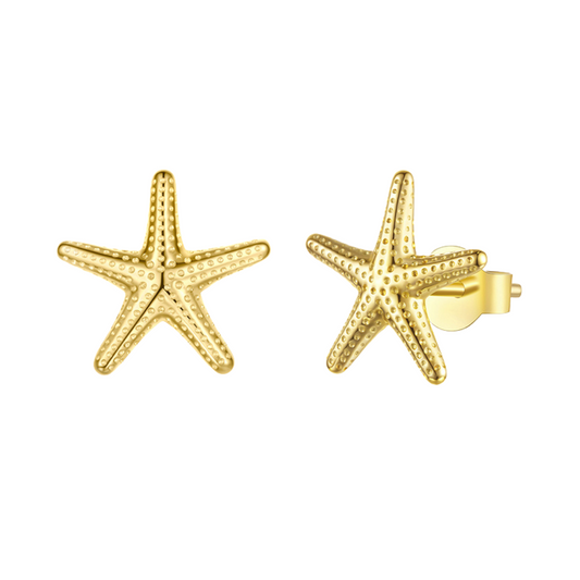 Brinco Estrela do Mar — prata 925