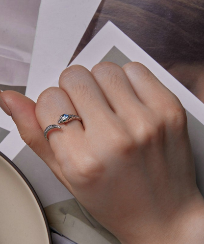 Anel Serpente Prata 925